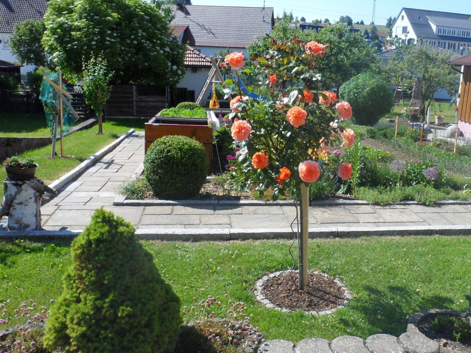 Ferienwohnung Eleonore Messstetten 외부 사진